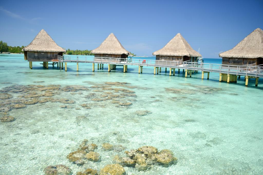Hotel Kia Ora Resort & Spa Avatoru Δωμάτιο φωτογραφία